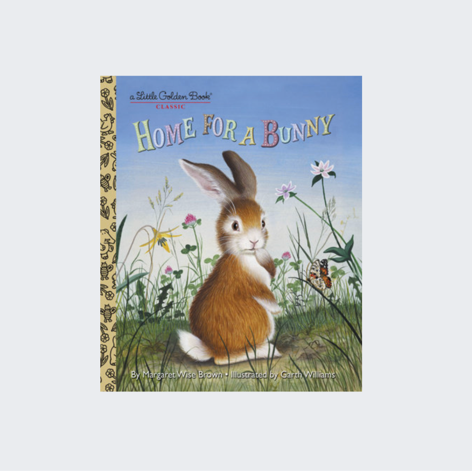Home for a Bunny