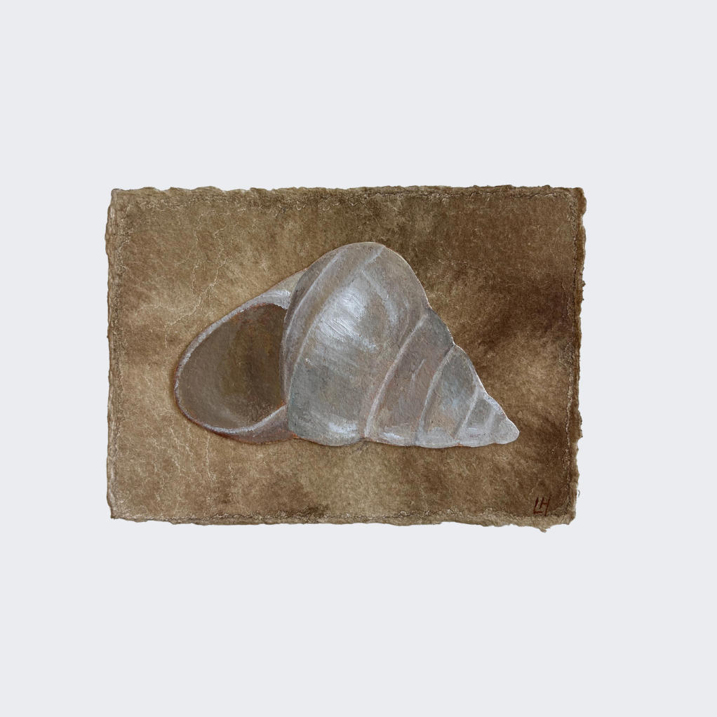 Seashell Series no. 10