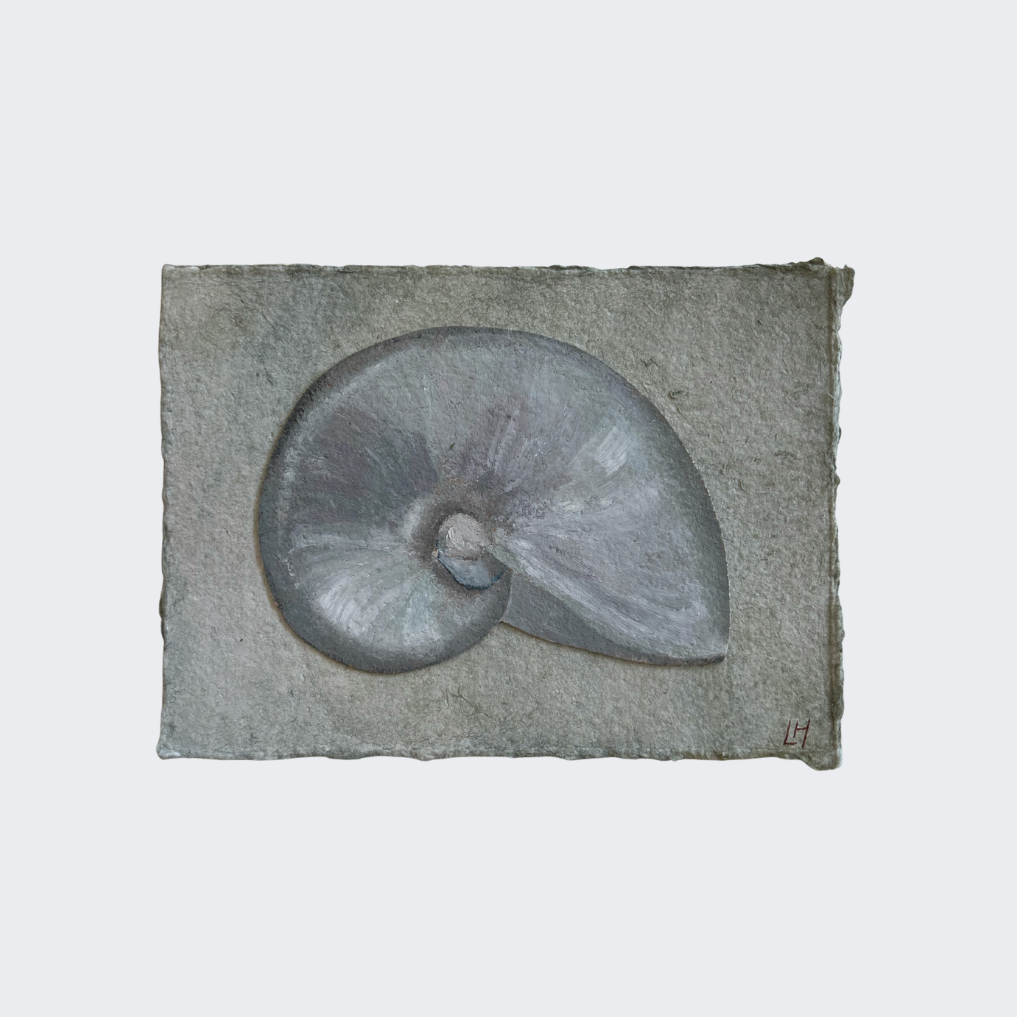 Seashell Series no. 8