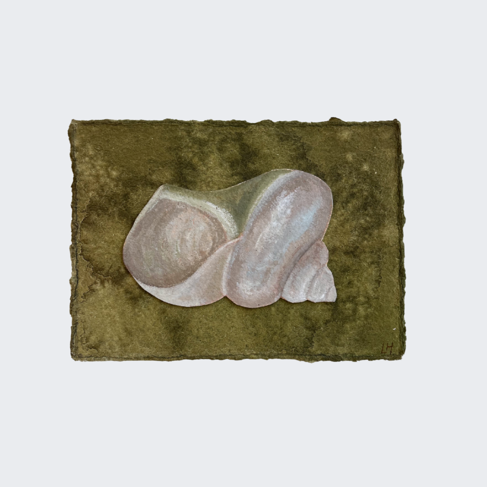 Seashell Series no. 7
