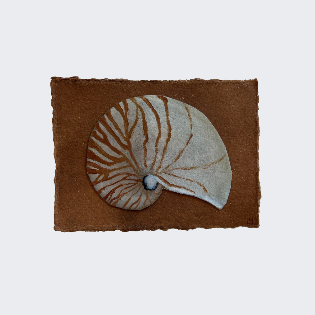 Seashell Series no. 4