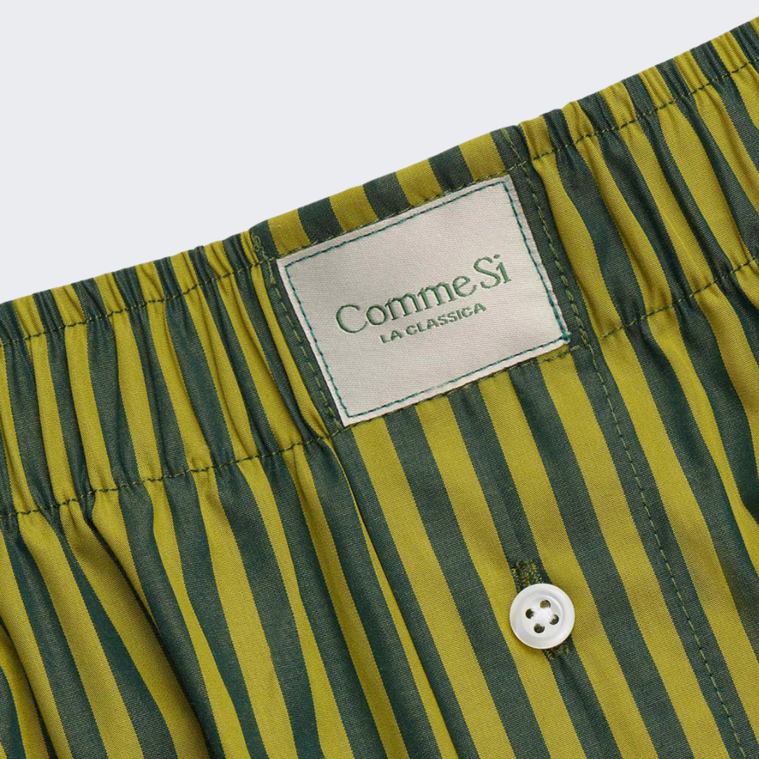 La Boxer Classica in Saguaro Stripe