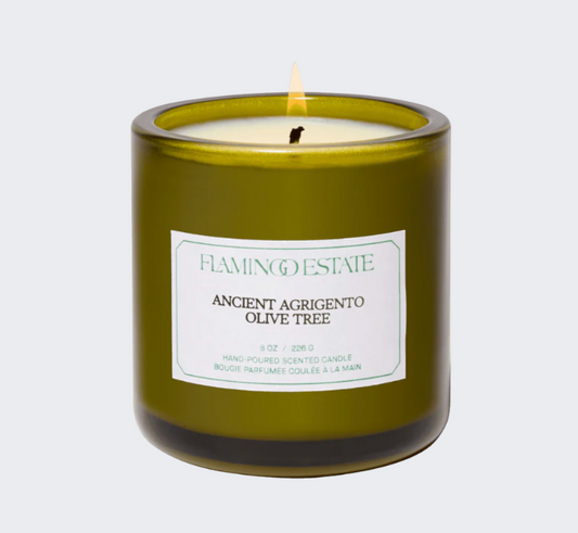 Ancient Agrigento Olive Tree Candle