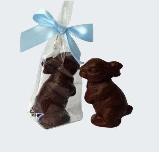 Chocolate Easter Bunny