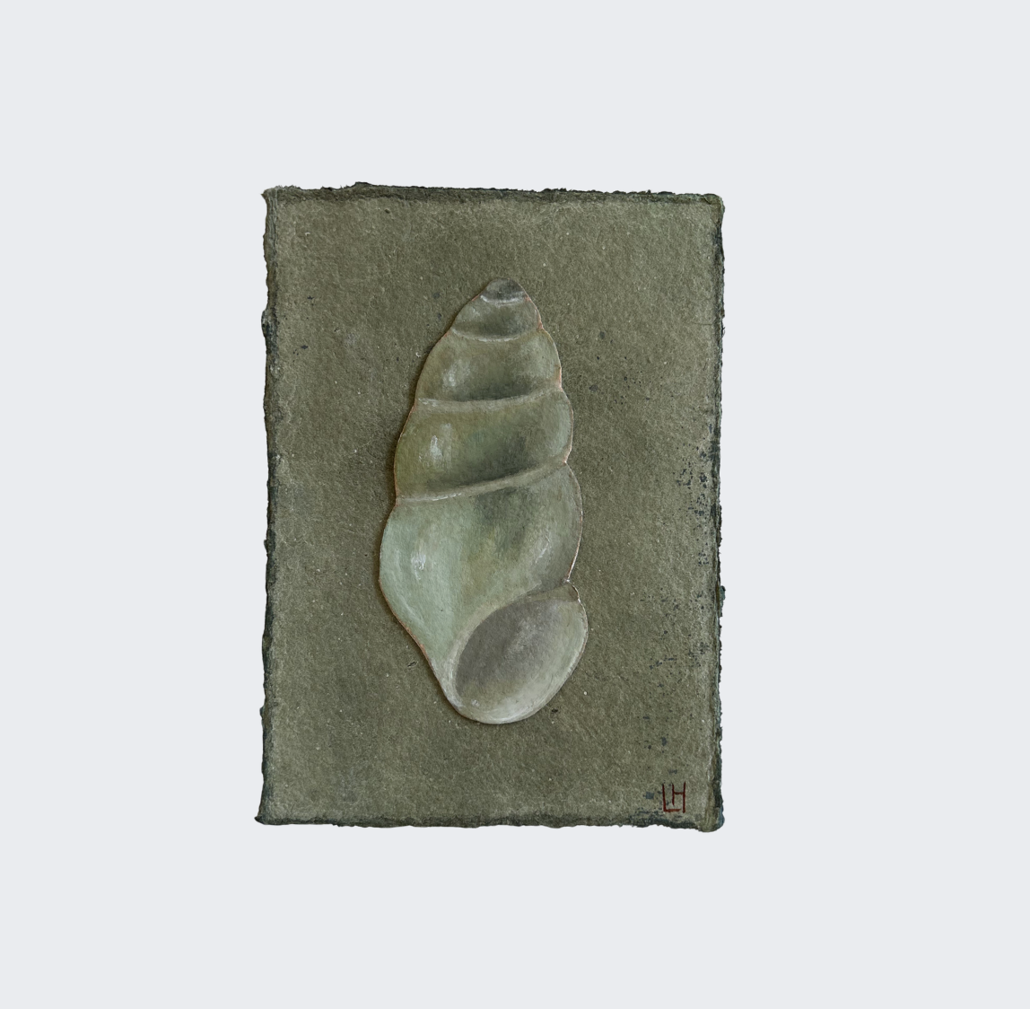 Seashell Series no. 12