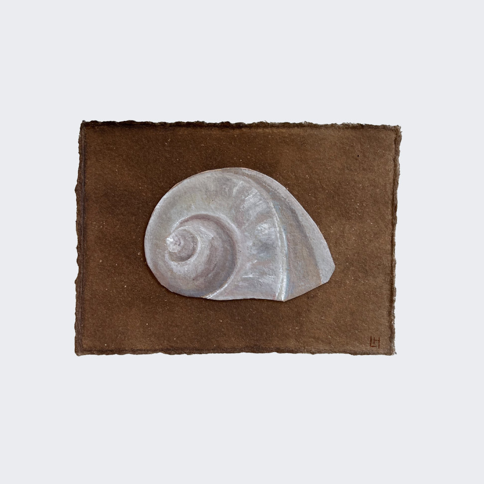 Seashell Series no. 11