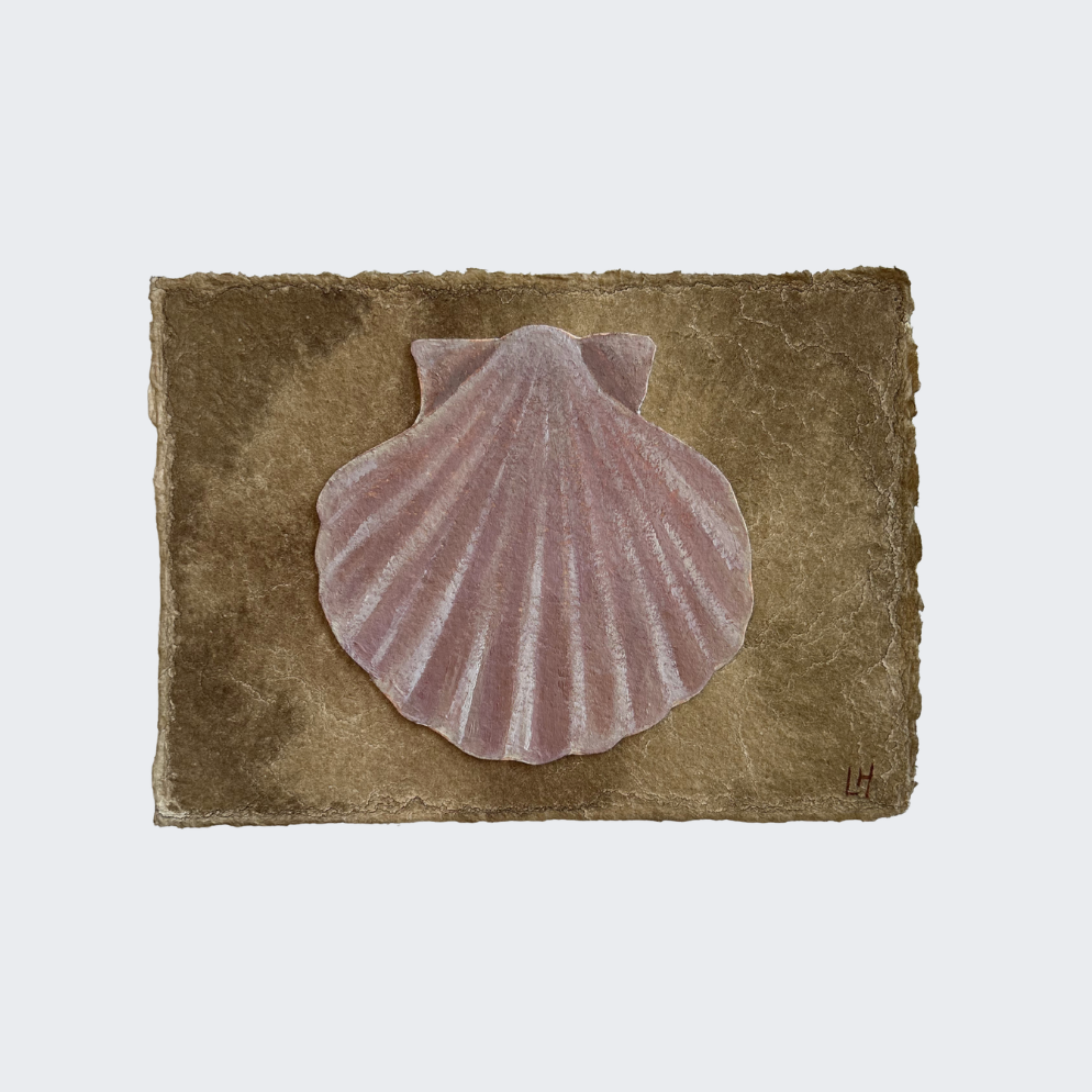 Seashell Series no. 9