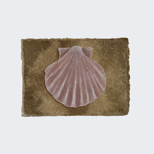 Seashell Series no. 9