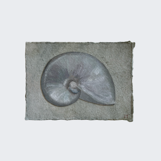 Seashell Series no. 8