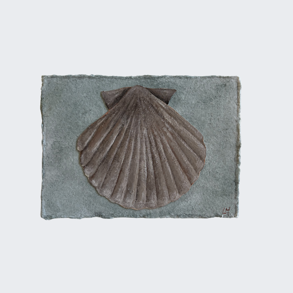 Seashell Series no. 6