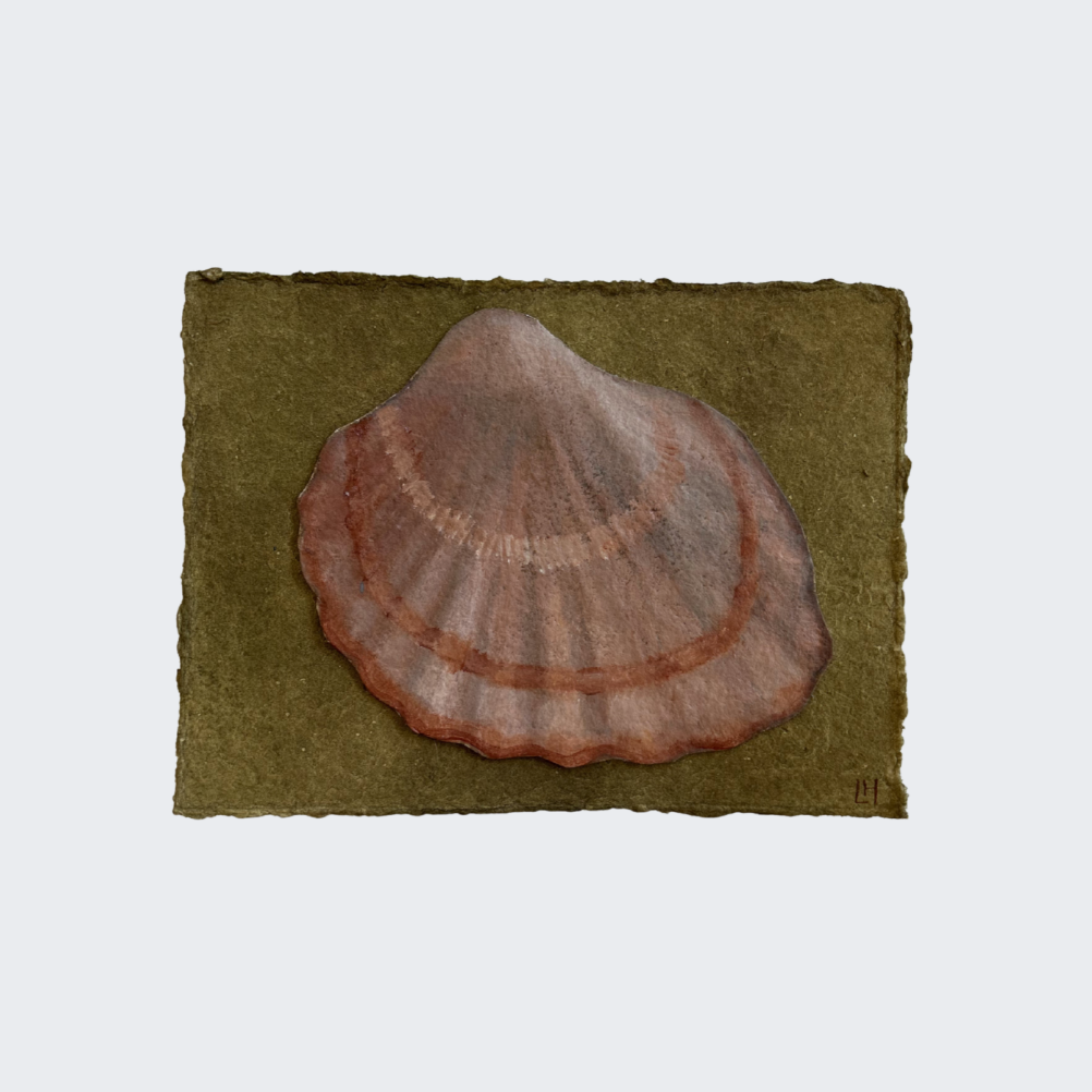 Seashell Series no. 3