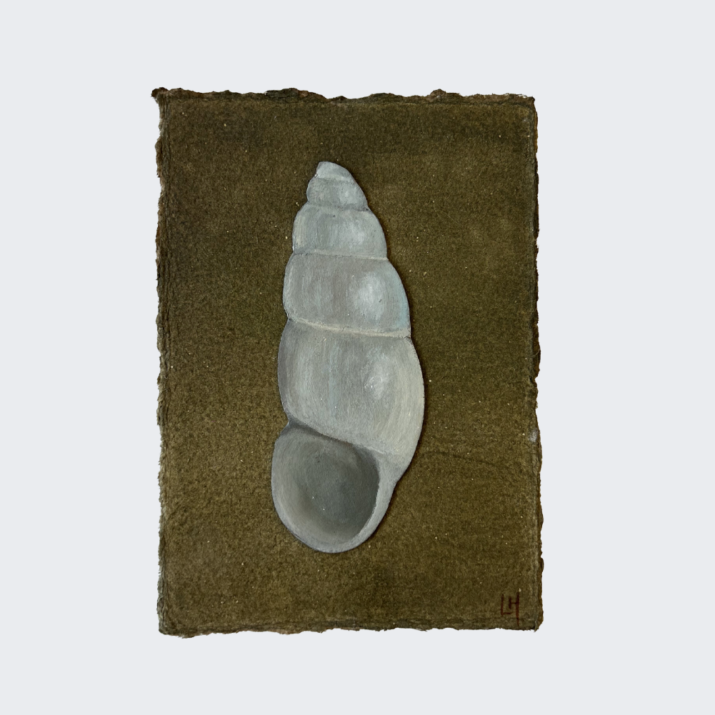 Seashell no. 15