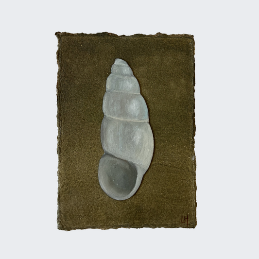 Seashell no. 15