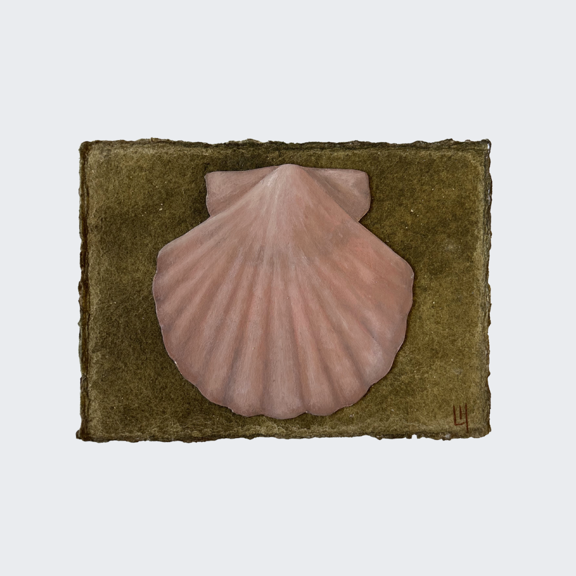 Seashell no. 19