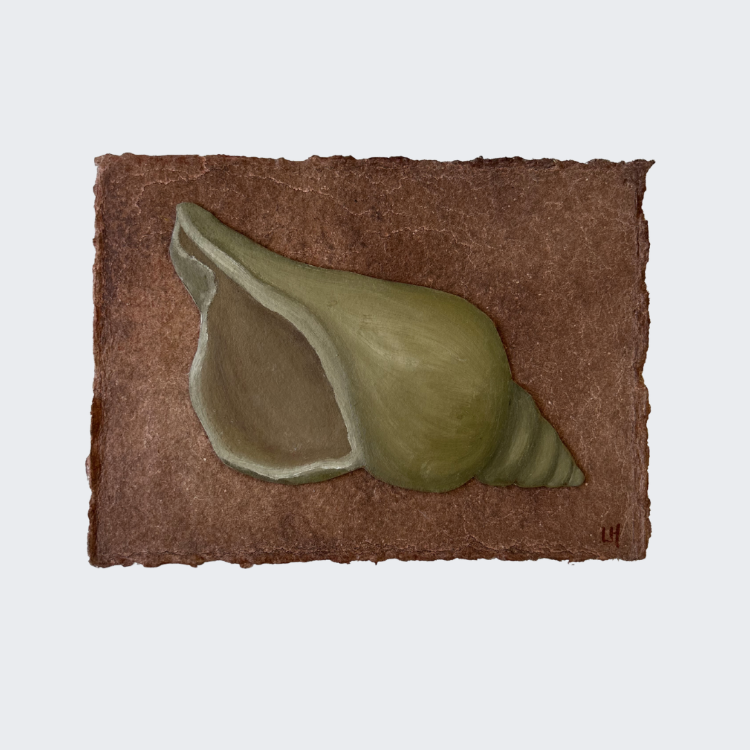 Seashell no. 20