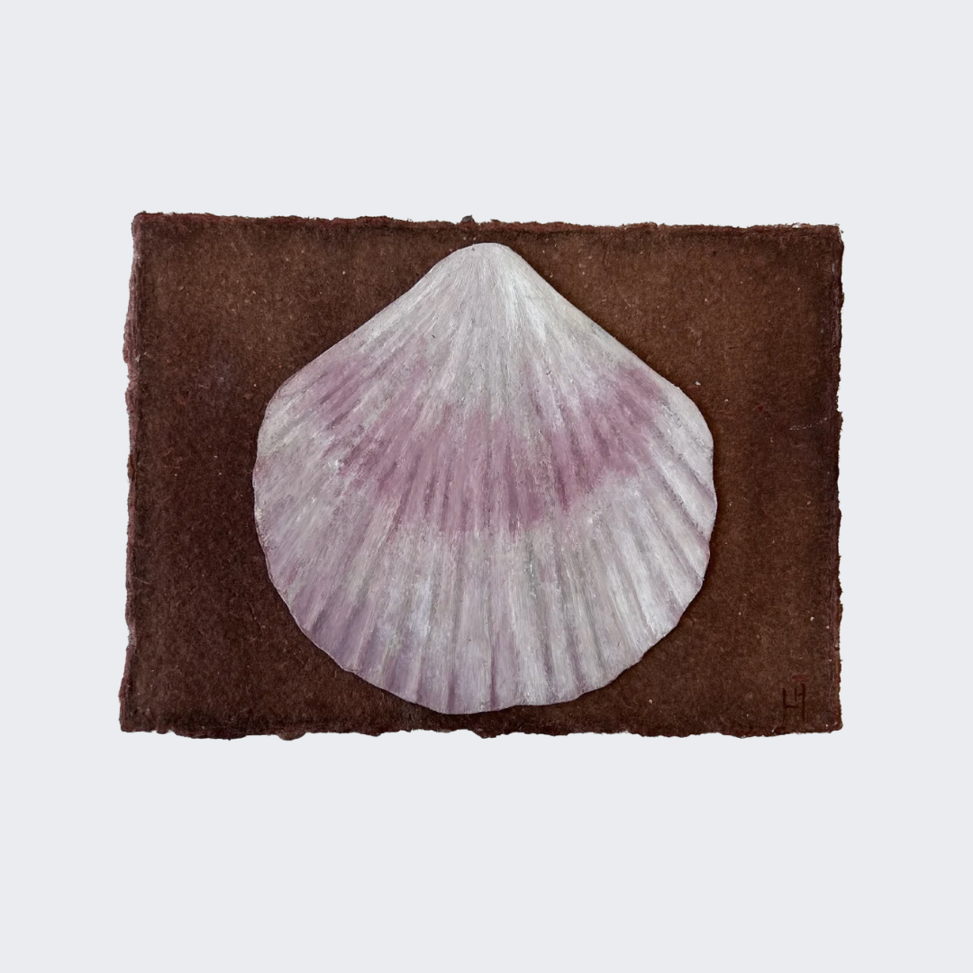 Seashell no. 21