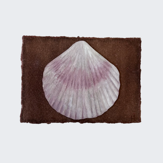 Seashell no. 21