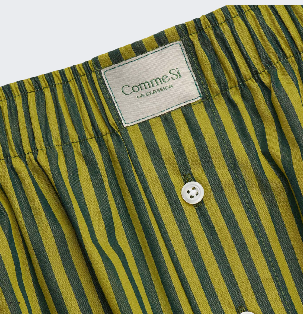 La Boxer Alta in Saguaro Stripe